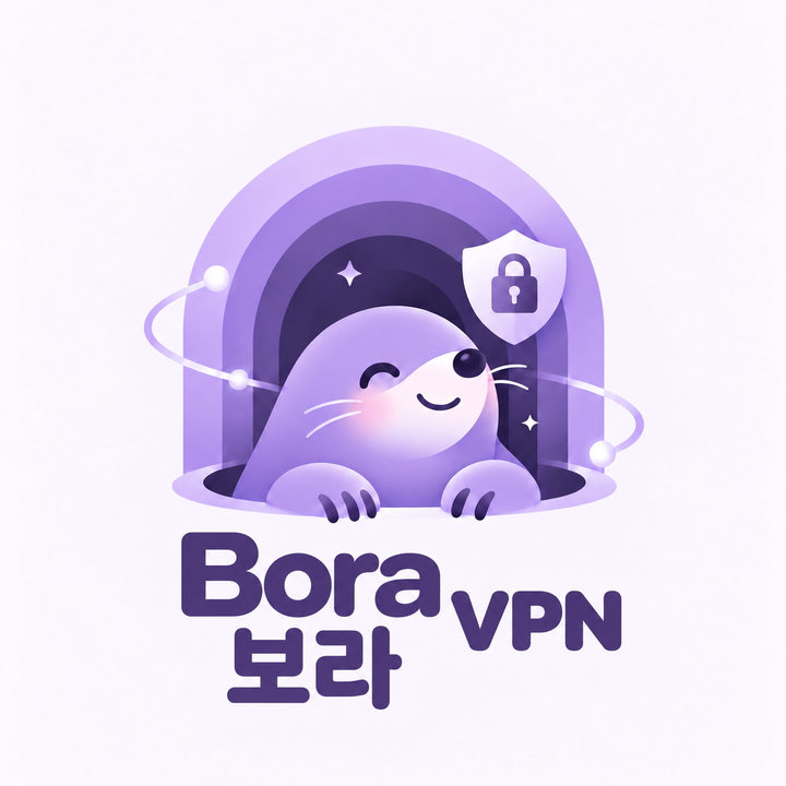 Bora VPN, 보라